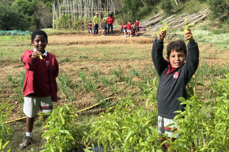 Els alumnes de 1r s’inicien en la feina del camp. Ara ja saben com tenir cura de l’hort de l’escola
