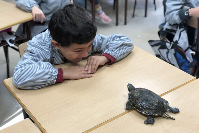Comencem el segon trimestre amb Petits Animalons