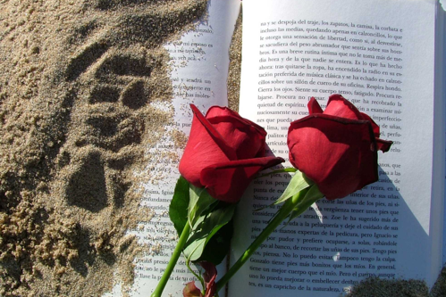 Demà és Sant Jordi al Padre Damián!