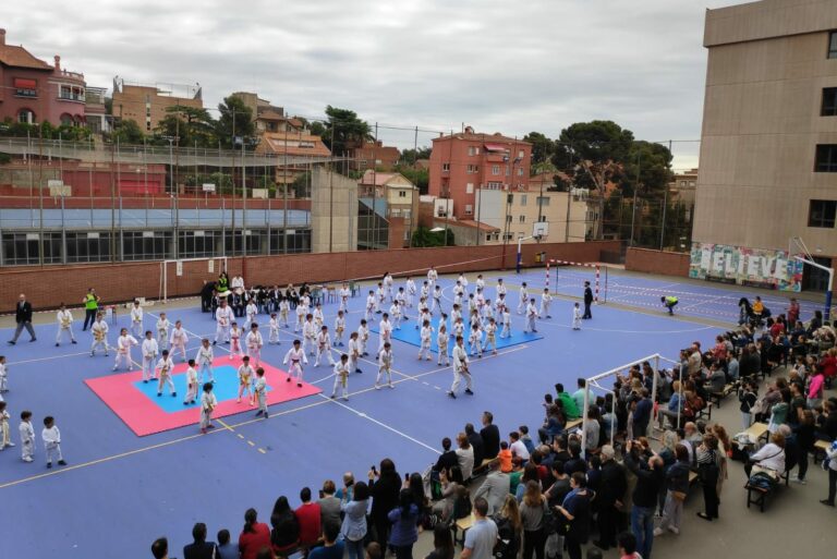 VIII Torneig Escolar de Kata a l’escola